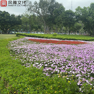 中文字幕精品一区二区2021年
